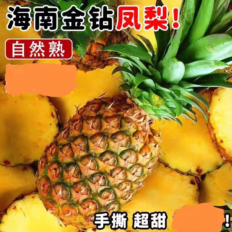 海南金钻凤梨新鲜香甜多汁热带水果当季凤梨