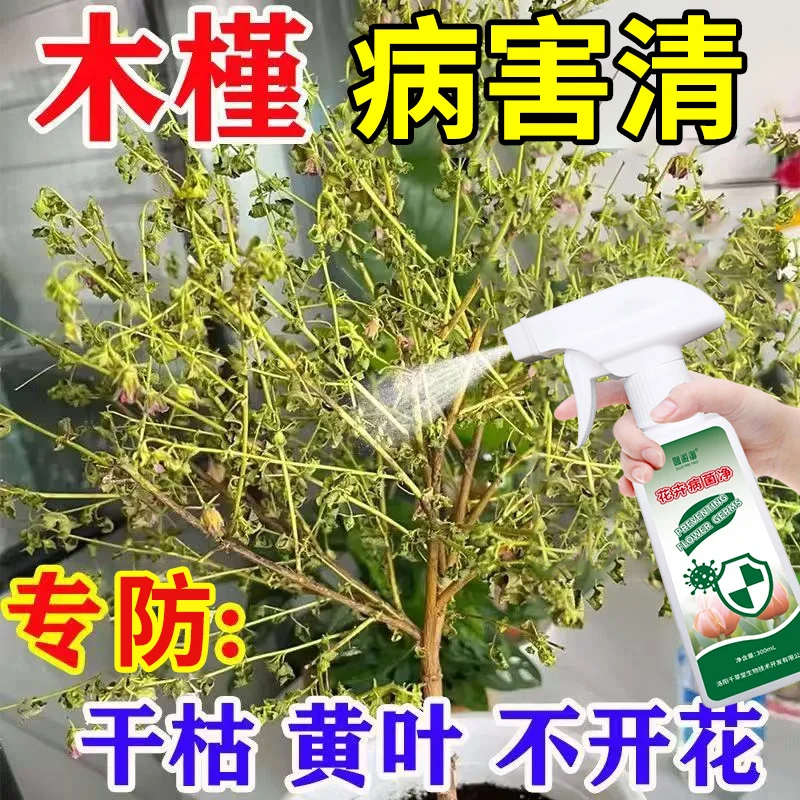 木槿花叶子发黄掉叶急救专用营养液免稀释即喷型抑菌喷雾剂不伤花