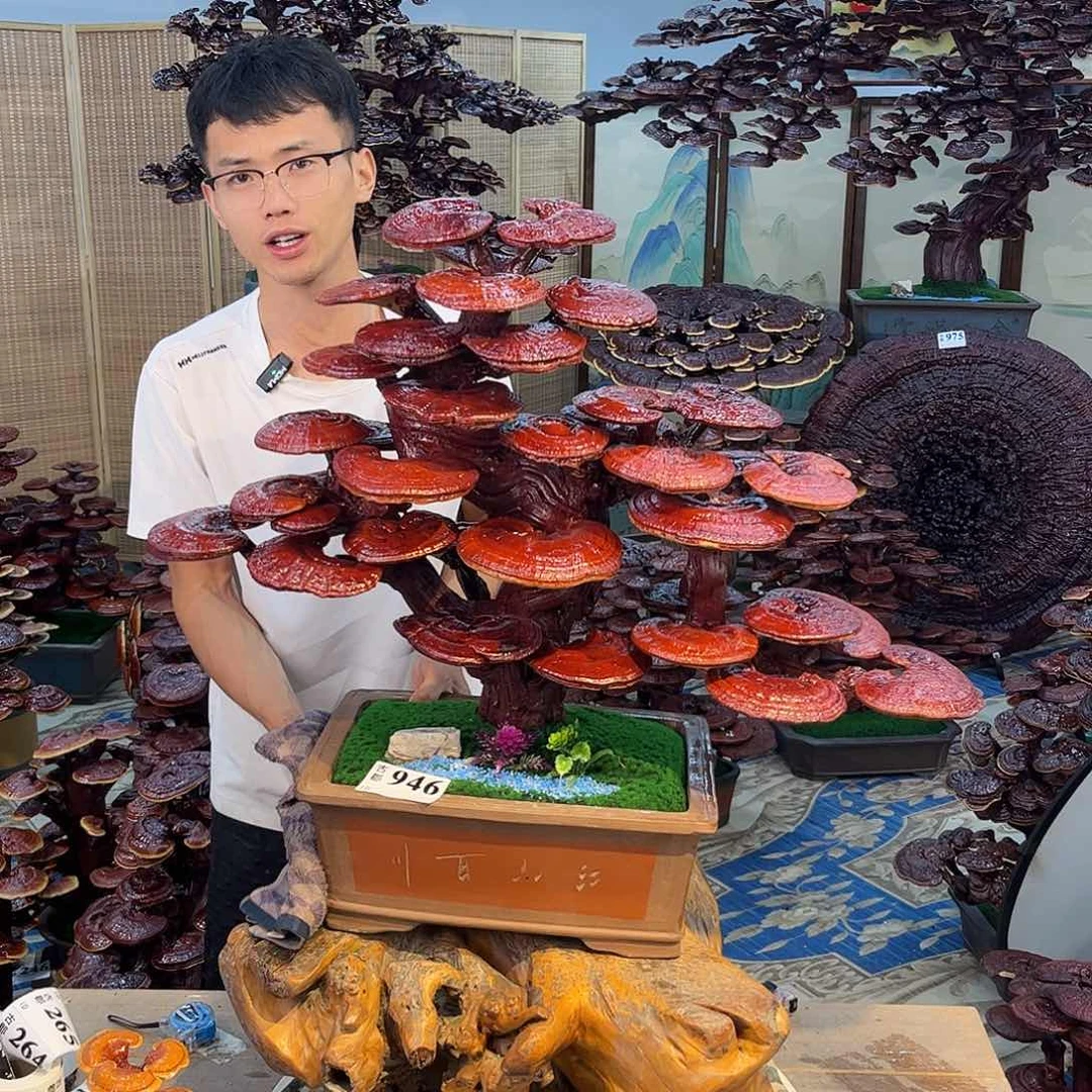 无花朵88888888888888888888