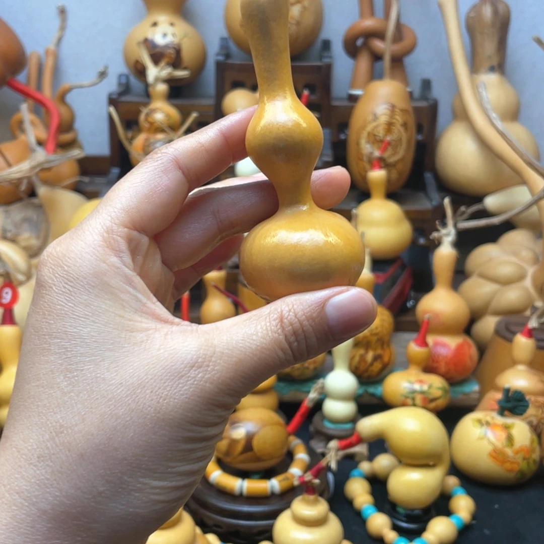 孙***?大自然的秘密第十节第一节