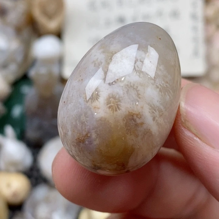 硅化珊瑚（珊瑚玉）未镶嵌颈饰