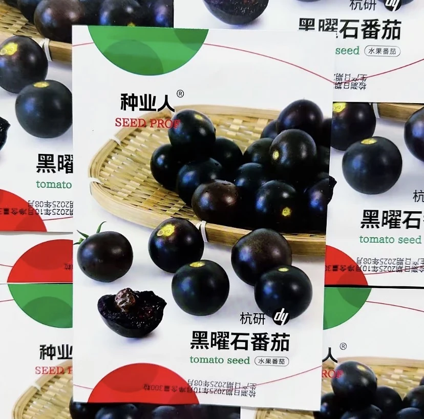 【蓝莓番茄种子】四季种植盆栽地栽阳台小院种植