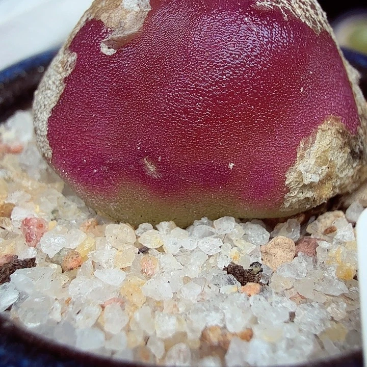 这个我都看出来有个好892