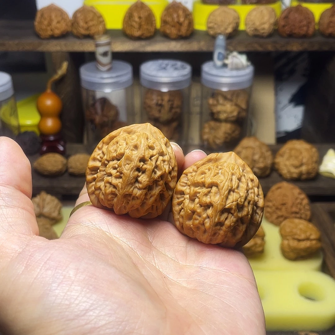 40尺全品红锦鲤手把