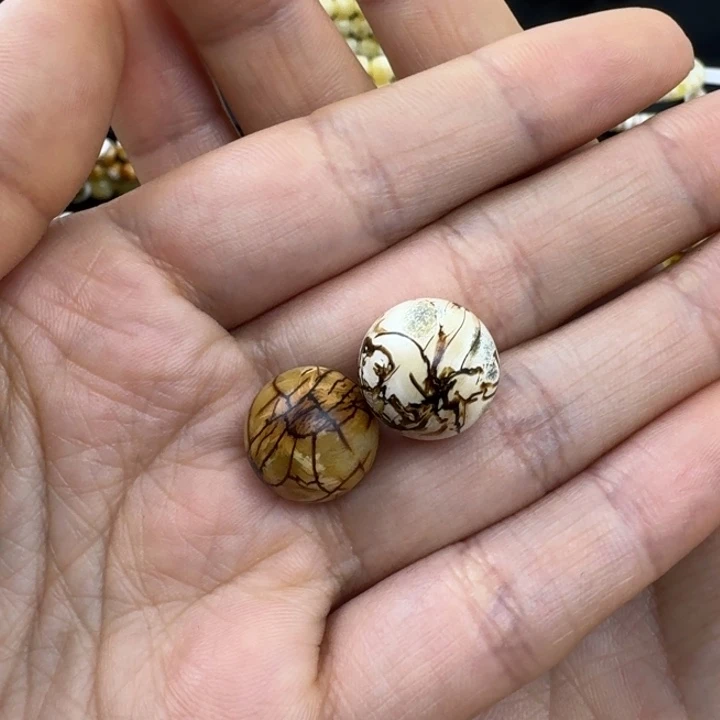 琥珀珠宝奇石未镶嵌沁色