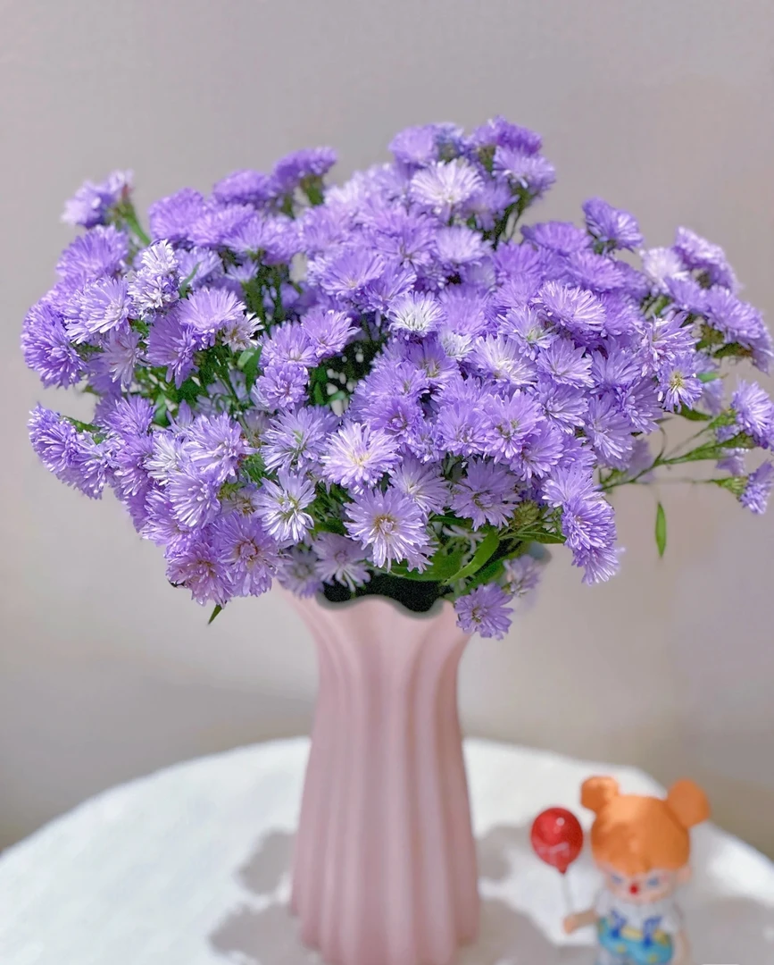 【紫鸢花】夏日限定高级鲜花 花期超长 遇水开花