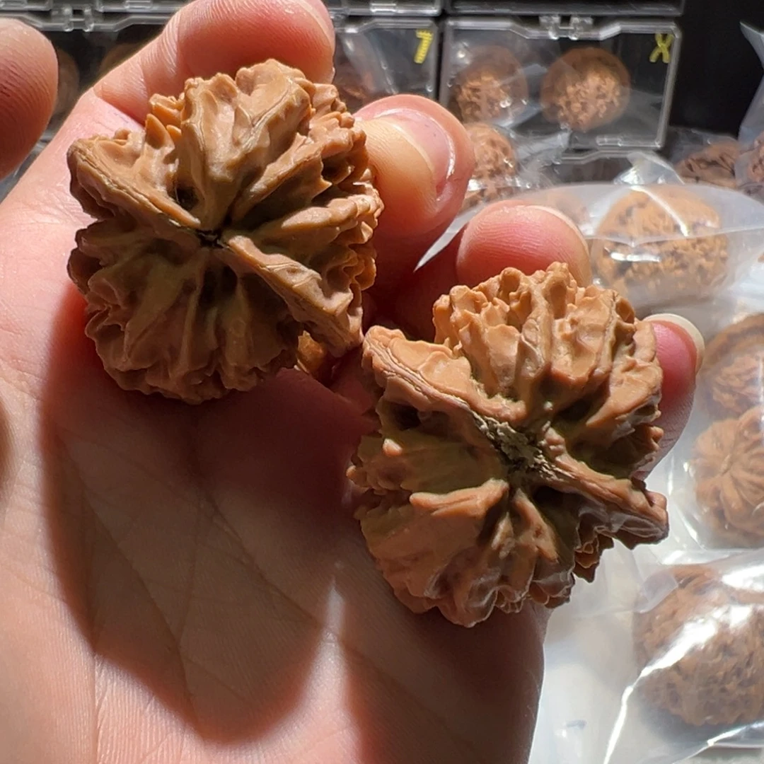 x***j把件文玩核桃招财鼠