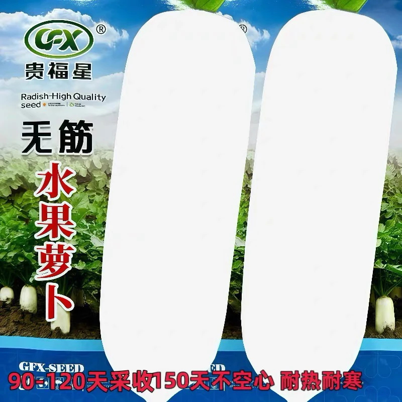 无筋水果白萝卜耐寒耐热皮薄白萝卜种籽夏秋正宗红菜苔种子种子