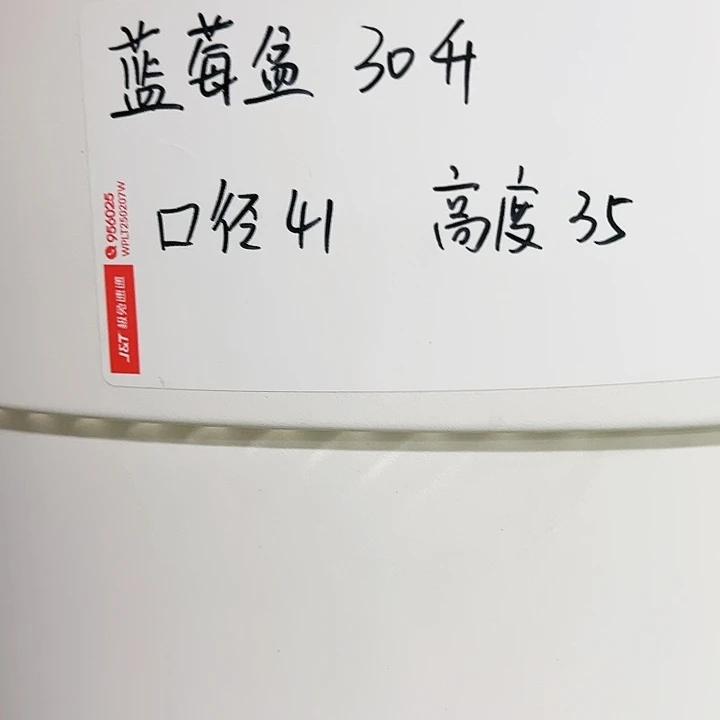 正品蓝莓盆口41高35白色3个无托