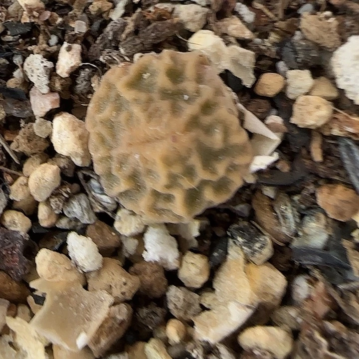 058超烧7778福利福利福利