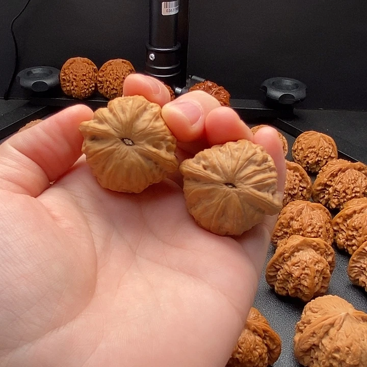把件文玩核桃好好好好好