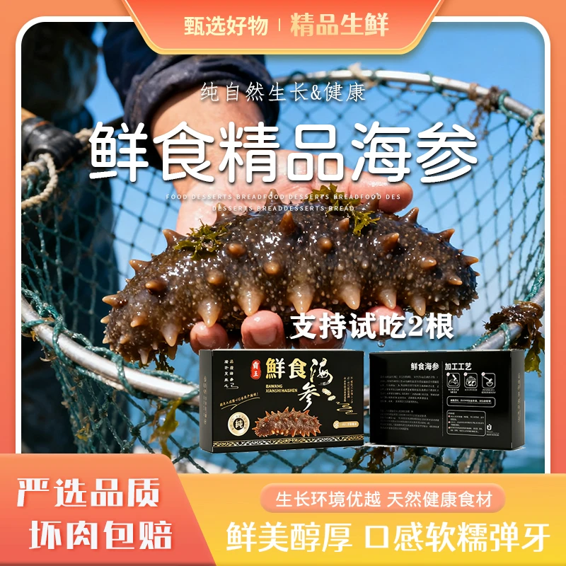 6-10头纯淡散装海参滋补实惠之选口感Q弹一一