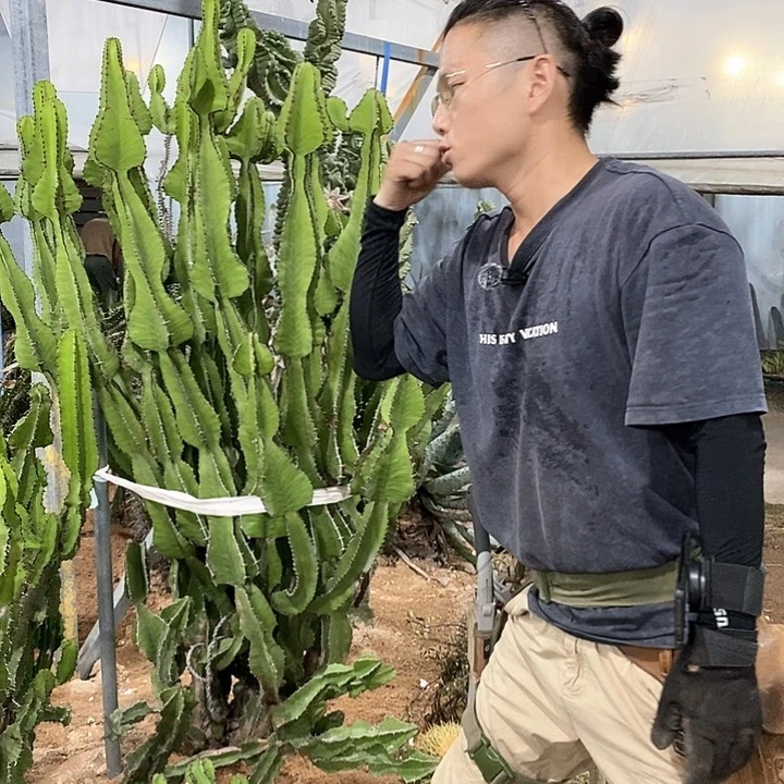 琉璃塔现砍30公分。
