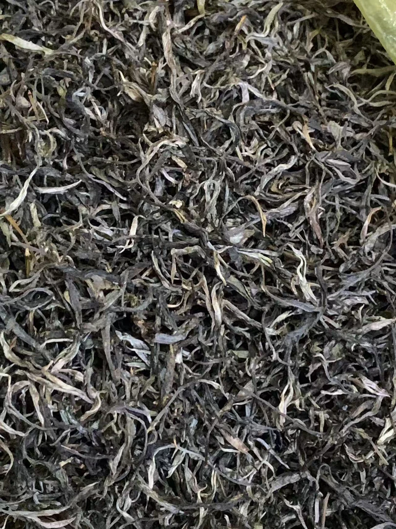 2025年300年古树单株