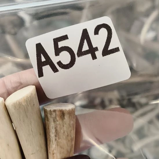 愿***意鹿角鹿角鹿角鹿角鹿