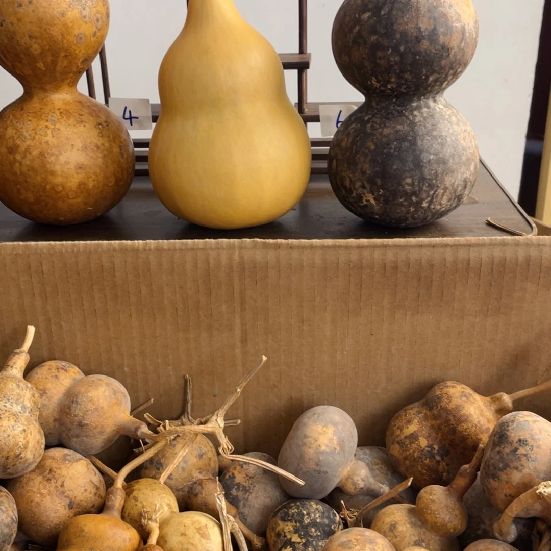 香榧木大****7葫芦葫芦