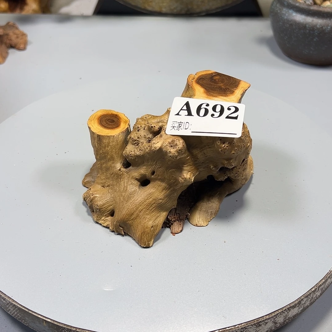 大果紫檀（缅甸花梨）悠***尘