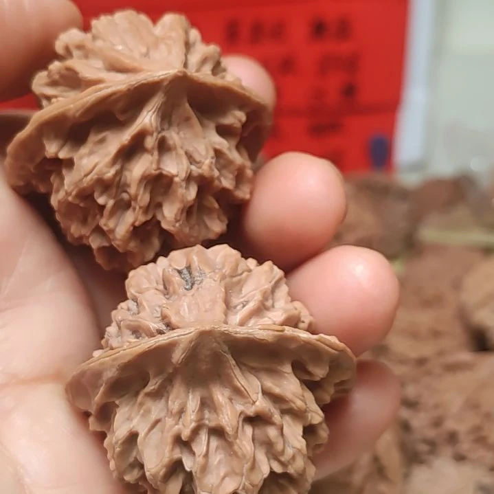 文玩核桃把件40的帝王