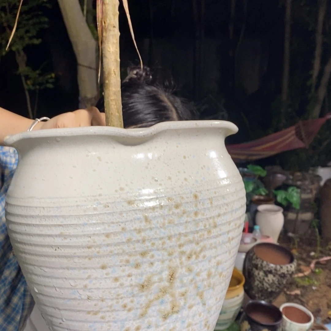 紫砂花盆正品24/27