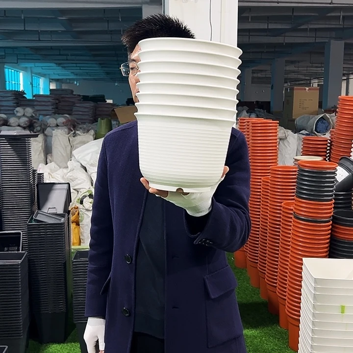 正品矮陶口21高15白色8只带托