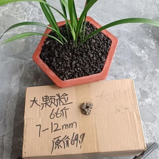 大***3兰菌黑山土大颗粒6.6斤