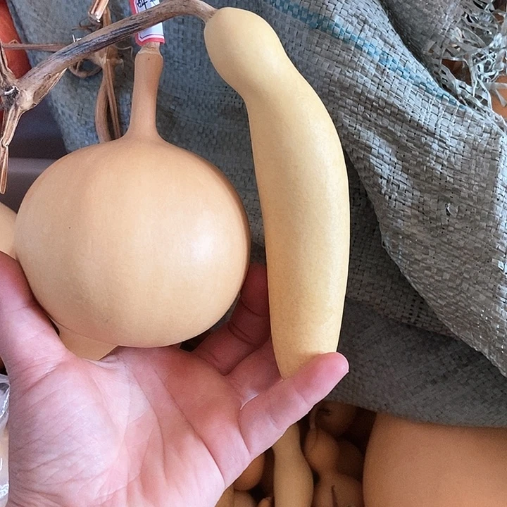 醉里挑灯看剑恭喜发财