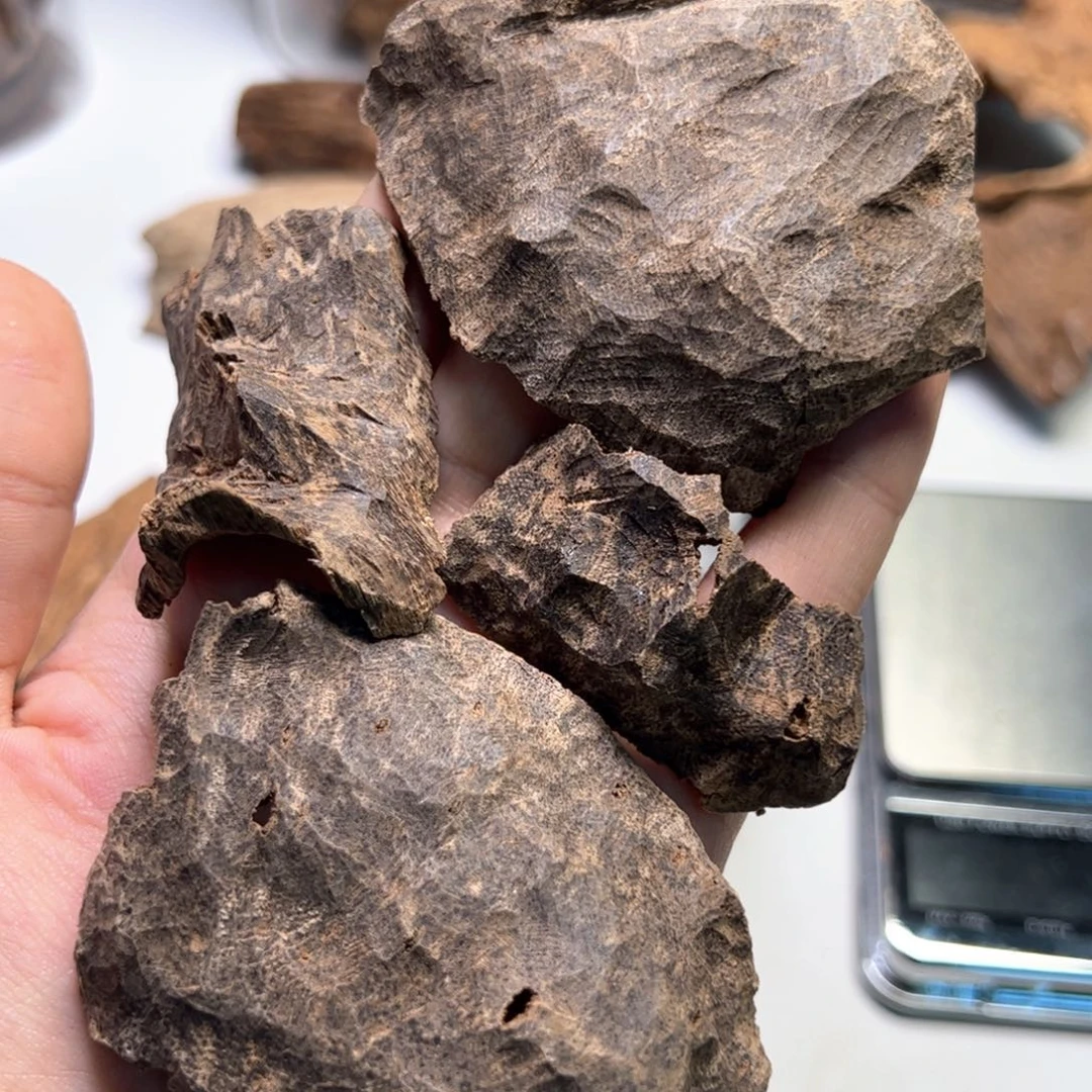 木黒*驼：越南板头50克