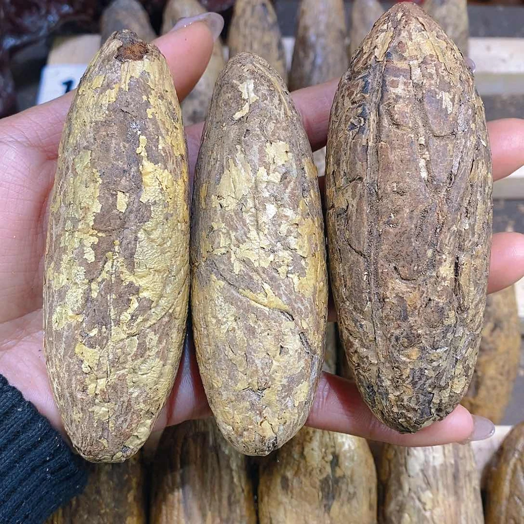 木菩提 千眼菩提手磨三颗