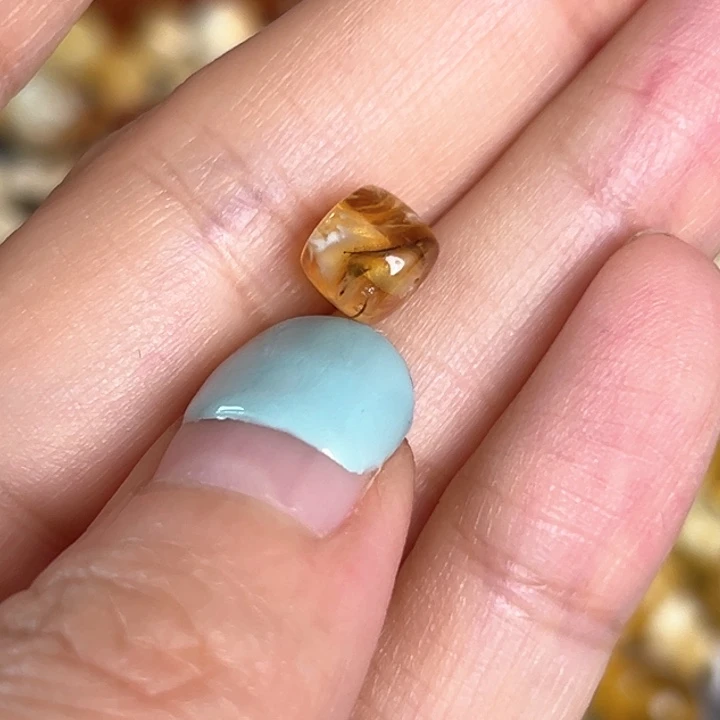 未镶嵌蜜蜡裸石7.1mm一个