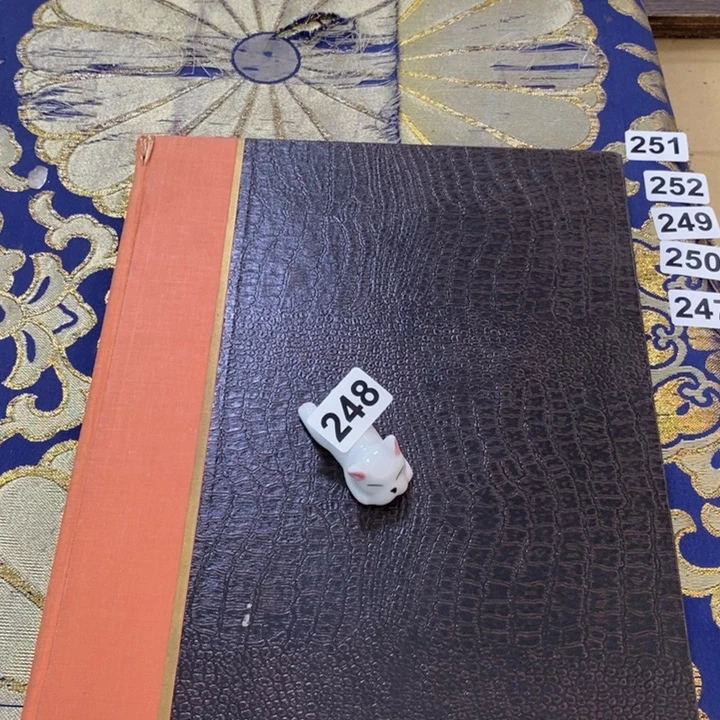 瓷片哦哦哦哦哦哦哦哦