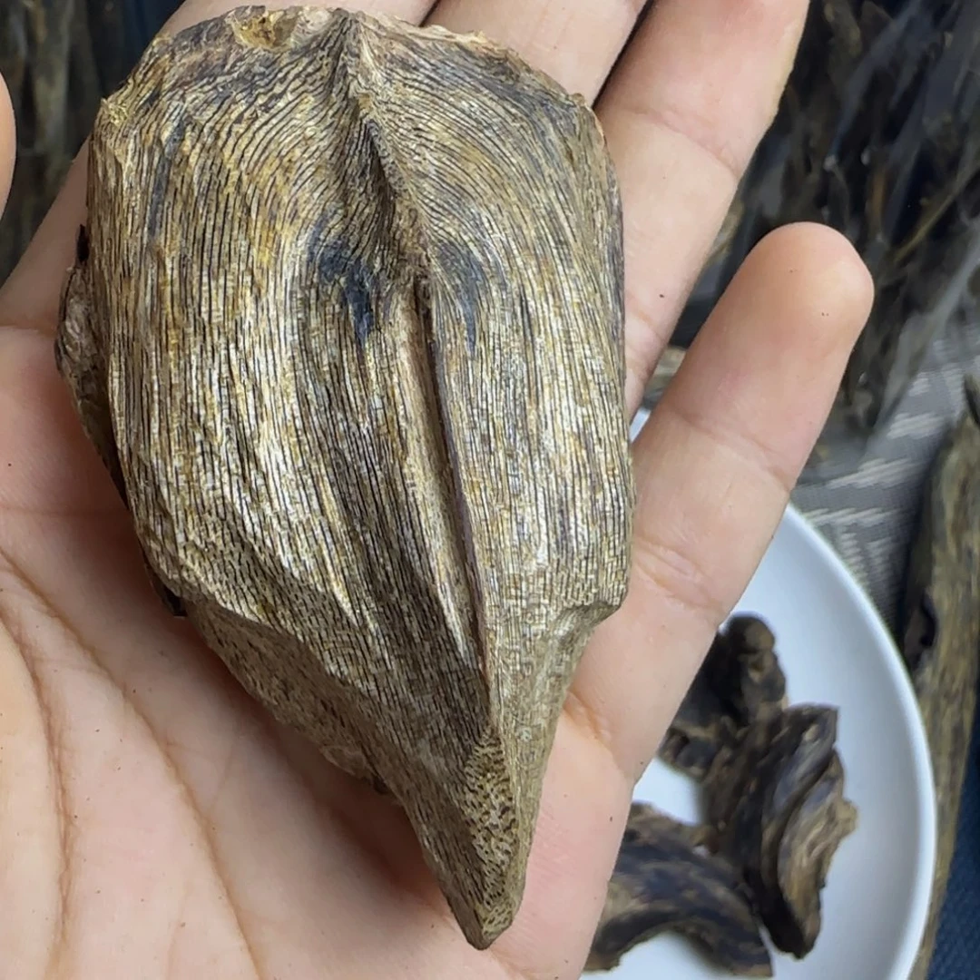 香榧木奇楠天然壳子12克