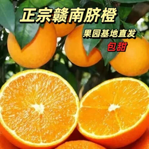 江西寻乌赣南脐橙江西赣南正宗10斤装品尝款多汁包甜实惠橙子