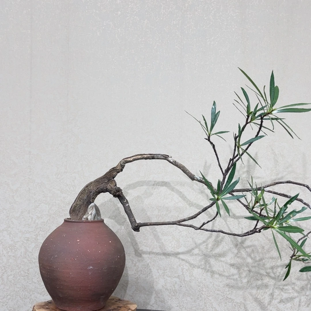 睡***着无花朵45698878566999
