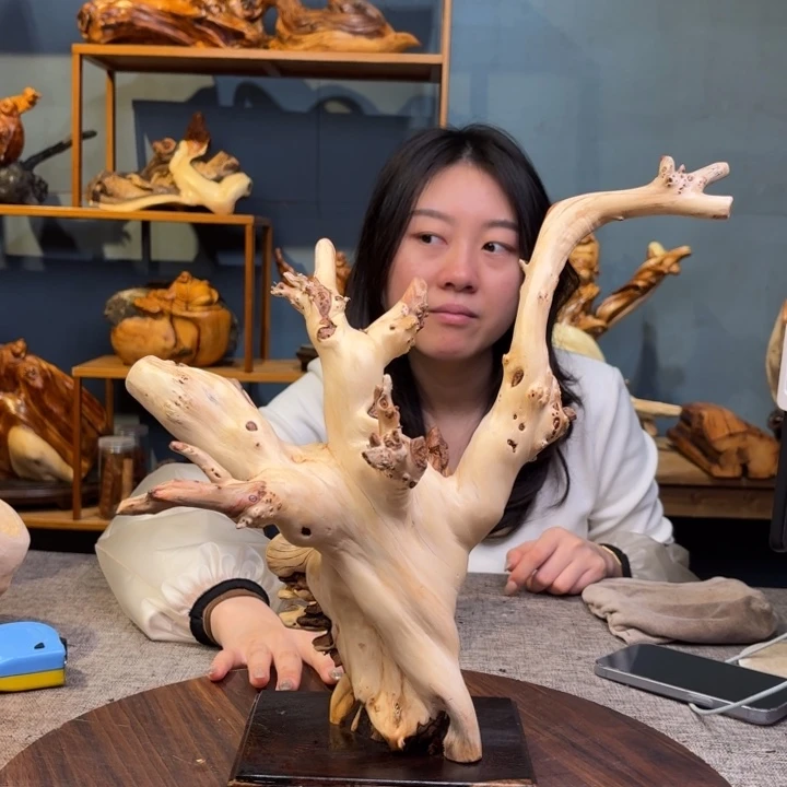 柏木（崖柏）关注一下