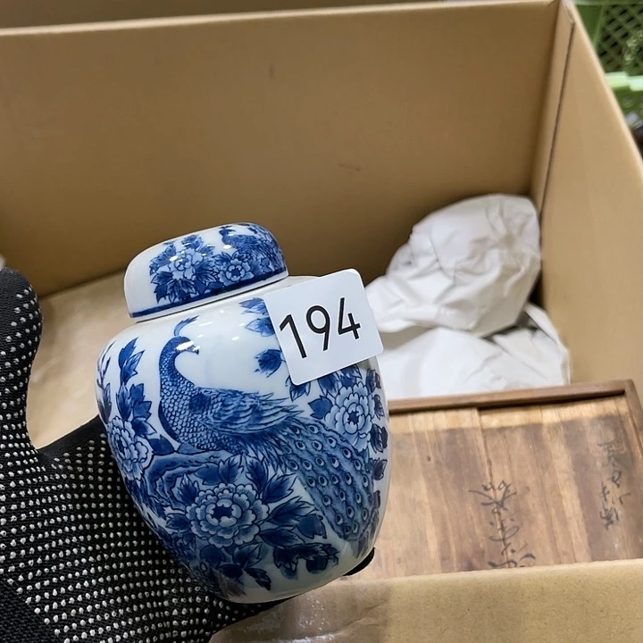 茶宠我们都在努力着