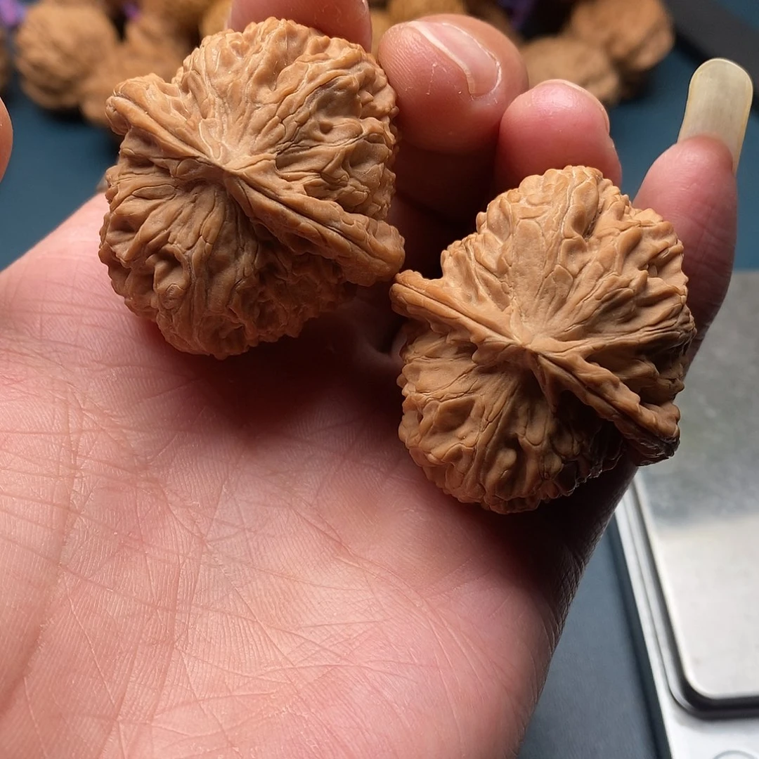 文玩核桃白狮子39全品