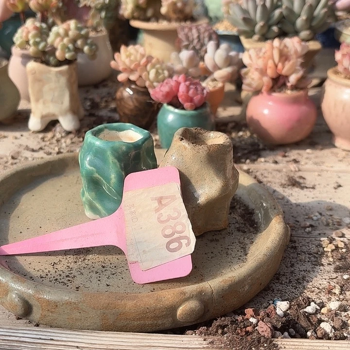 雨**呀x h x d f g f d f h y 386