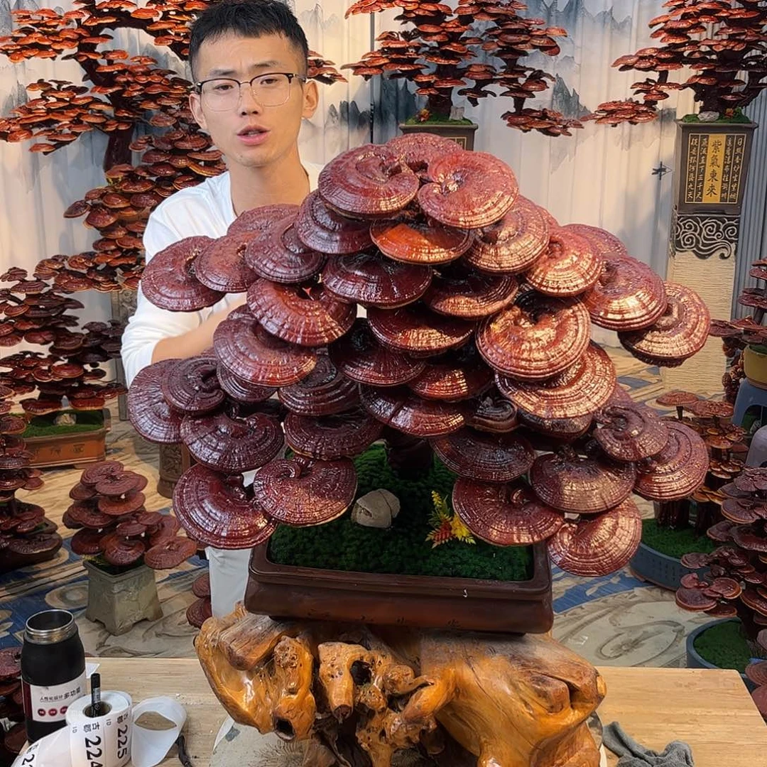 无花朵88858888888888888