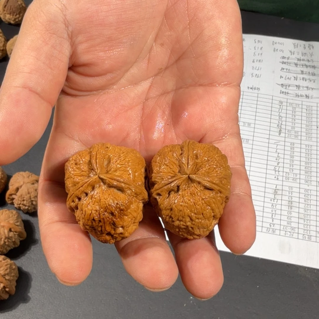 文玩核桃把件62号粗筋霸王三棱