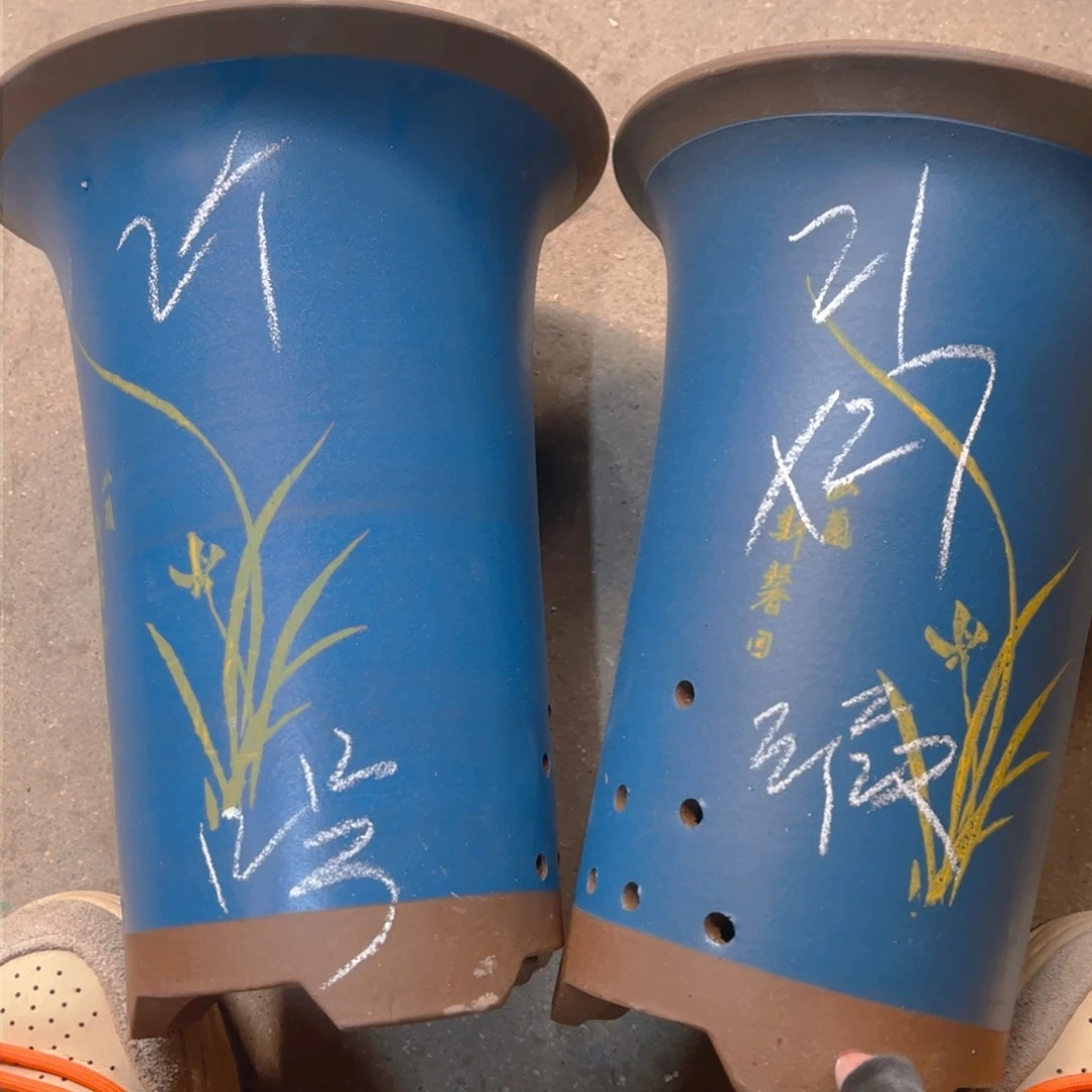 紫砂12……………………………………