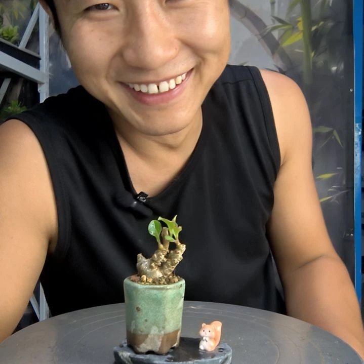 L**U中青园艺一物一拍99