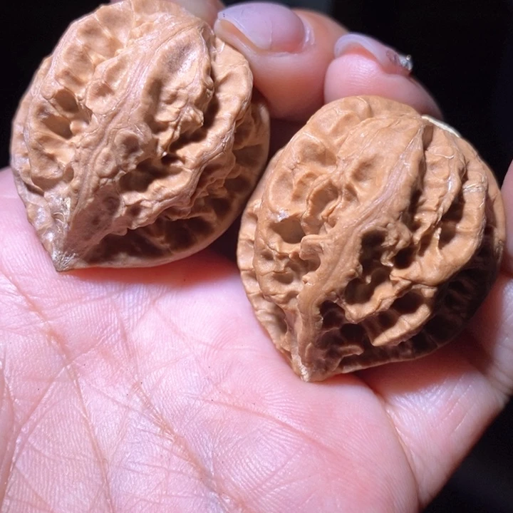 文玩核桃把件东北野生楸子小美57