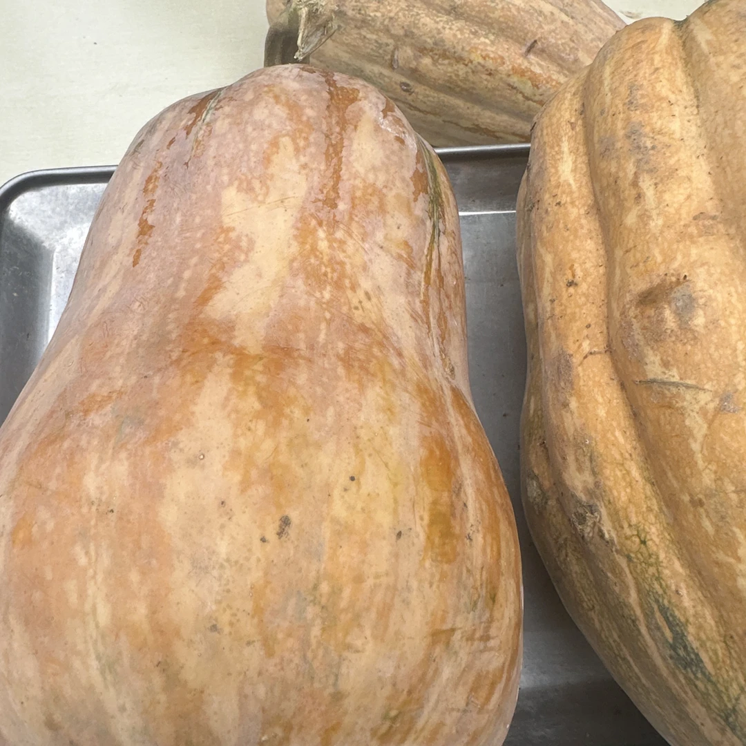老本南瓜软糯香甜适合宝宝辅食的应季蔬菜