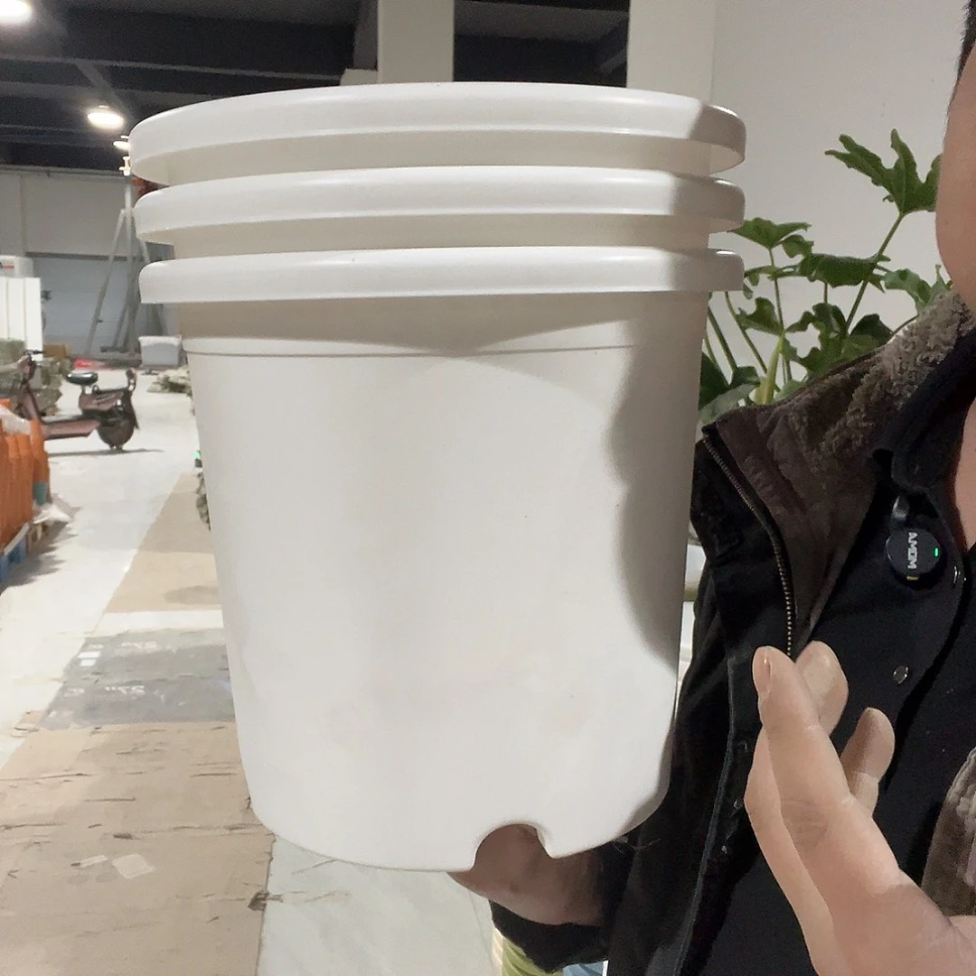 圆5号白3个无托盘