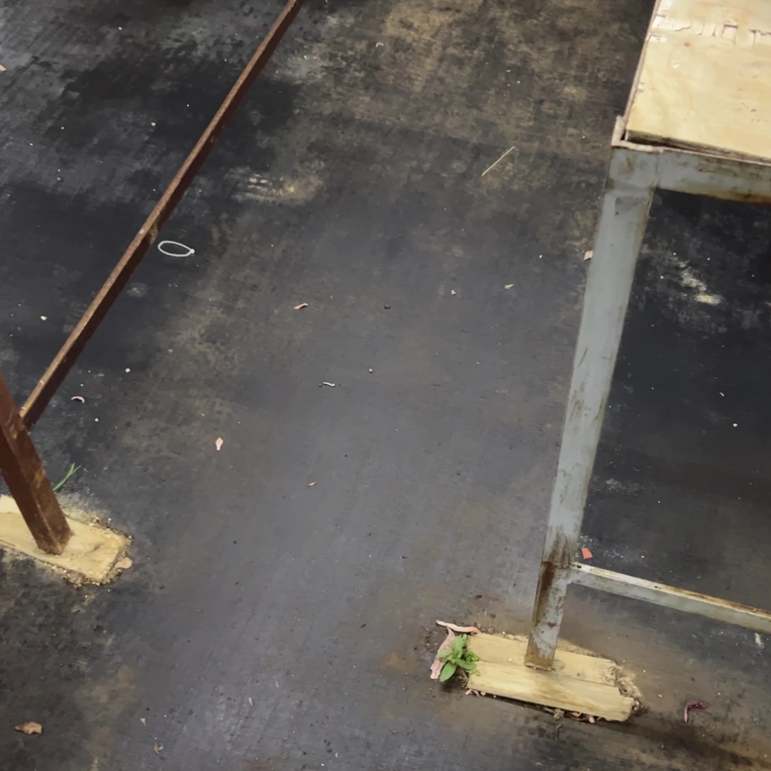 保温棉1 零零多肉植物