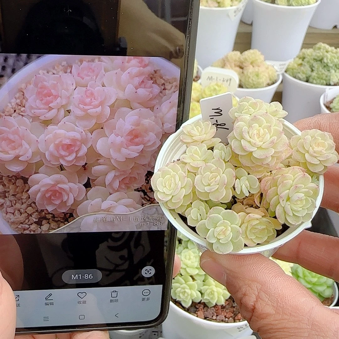 1104-94（m1-86）优选