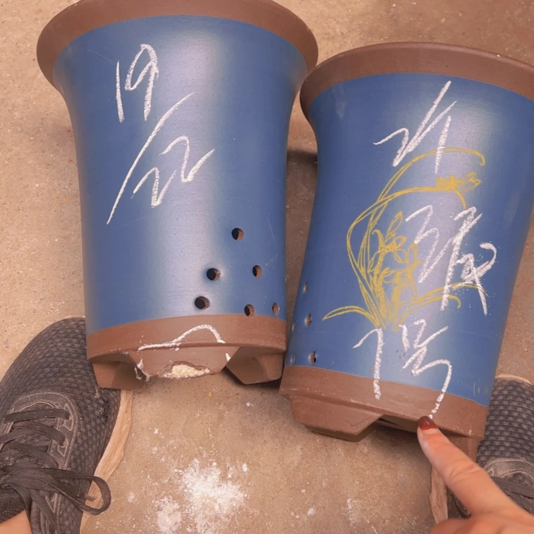 7号…………………………………………