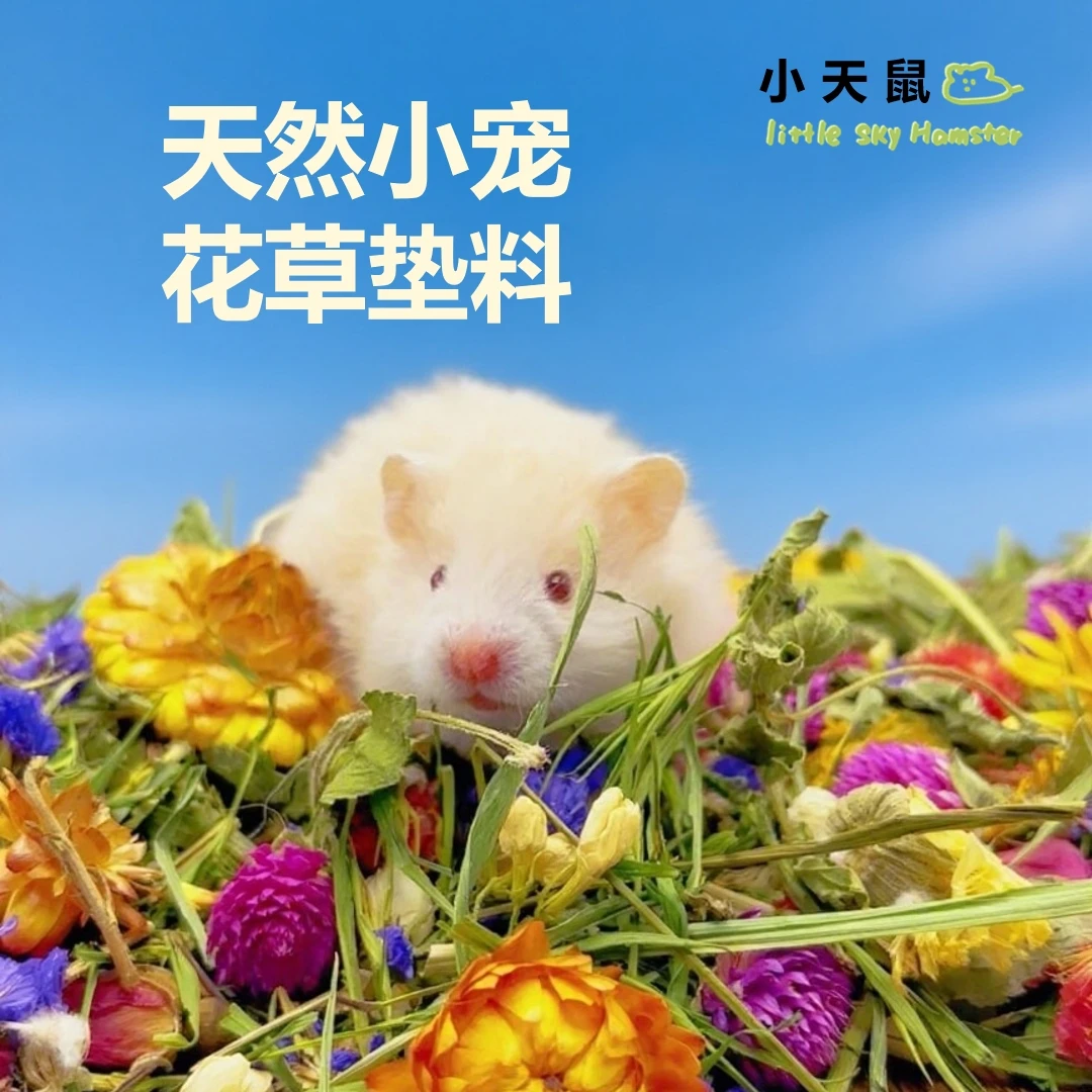 小天鼠花草垫料仓鼠垫料夏季除臭花草包造景用品金丝熊除臭无尘