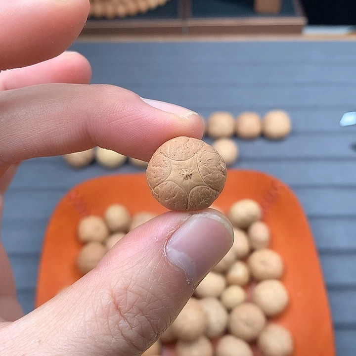 吊坠凤眼菩提18+五星，非质量问题开孔不退