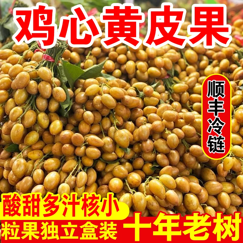 【顺丰冷链】广西鸡心黄皮果孕妇当季水果现摘现发酸甜回甘新鲜水果